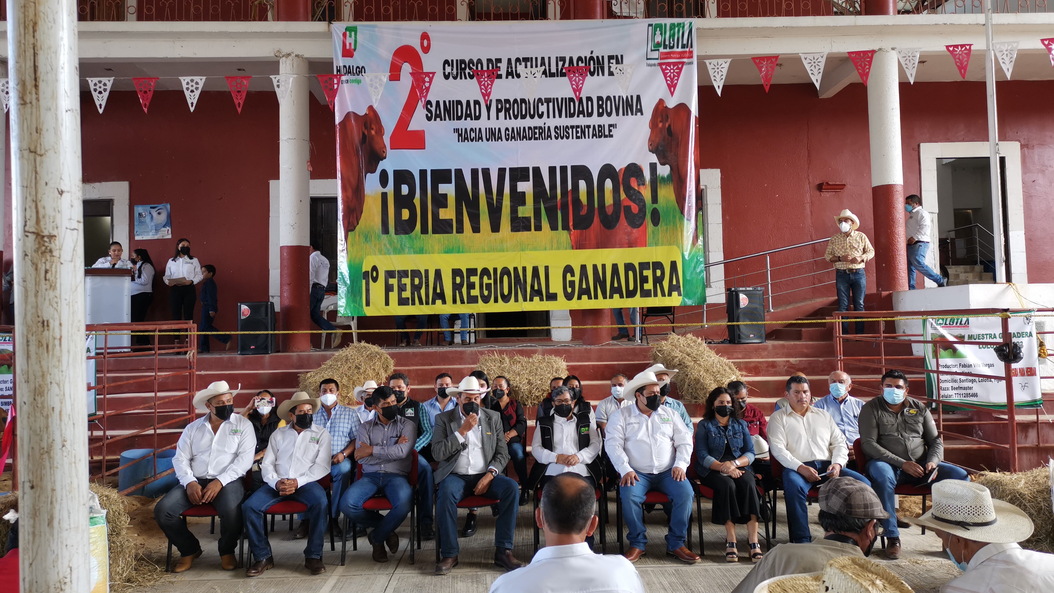 Curso » Actualización en Sanidad y Productividad Bovina Hacia una ganadería sustentable
