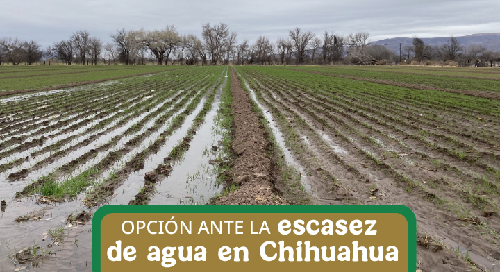 Ahorro de fertilizantes con Aguas Residuales Tratadas